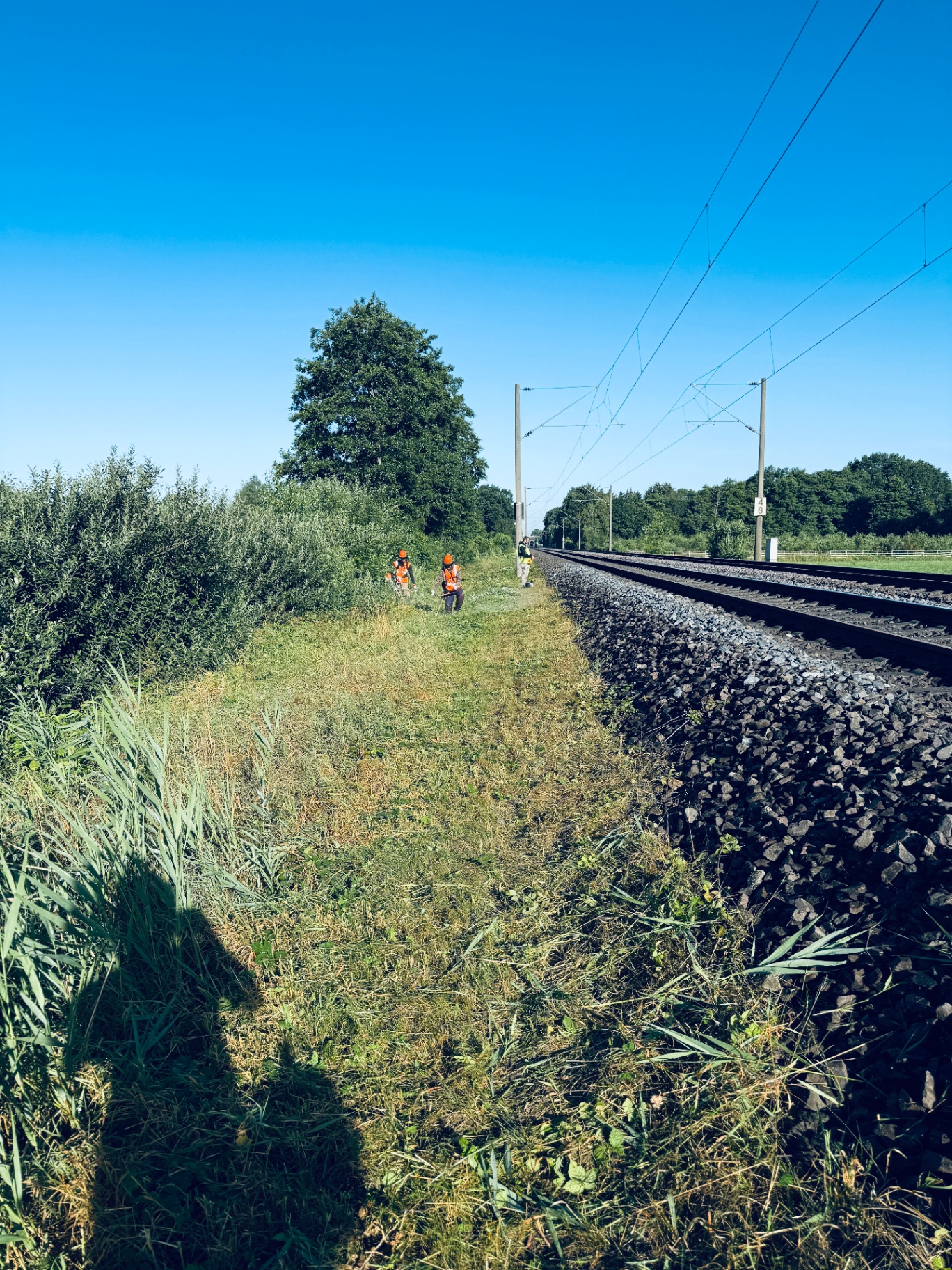 Gereinigte Bahntrasse
